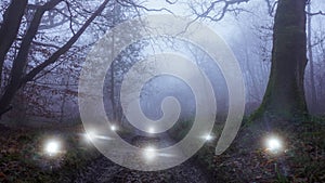 A forest track. on a foggy evening. Surrounded by glowing supernatural lights