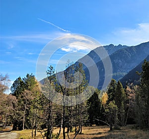 Forest track and the mountain sight in the back photo