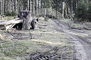 Forest tractor transporter in woods