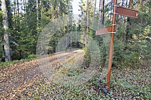 Forest trail with direction sign