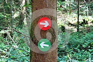 Forest trail Directions photo