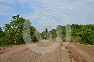 Forest Trail, Green Trees, Sky and Clouds in India