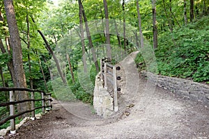 Forest trail, The Road Less Travelled by Robert Fr