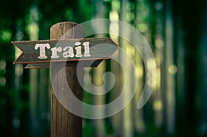 Forest Trail Sign