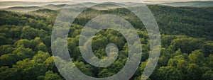 Forest and tree landscape texture abstract background, Aerial top view forest atmosphere area, Texture of forest view from above,