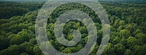 Forest and tree landscape texture abstract background, Aerial top view forest atmosphere area, Texture of forest view from above,