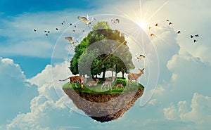 Forest tree Wildlife tiger Deer Bird Island Floating in the sky World Environment Day World Conservation Day Earth Day