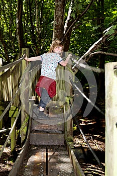Forest trees bridges child playing