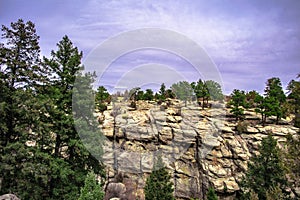 Forest of trees in Castlewood Canyon in Colorado