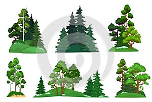 Forest trees. Green fir tree, forests pine composition and isolated trees cartoon vector illustration set