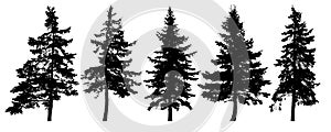 Forest trees silhouette. Isolated vector set.