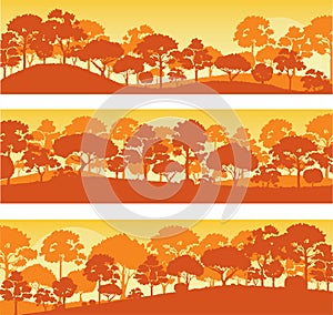 Forest trees silhouettes , forest landscape template banner background vector illustration EPS10