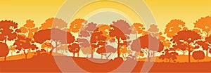 Forest trees silhouettes , nature landscape background vector illustration EPS10