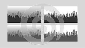 Forest trees. Vector silhouette of detailed and seamless Spruce forest.