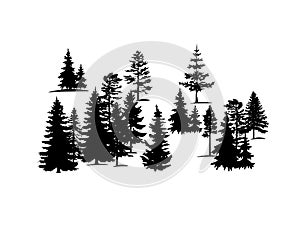 Forest trees vector silhouette .Set of vector silhouettes of forest coniferous trees.