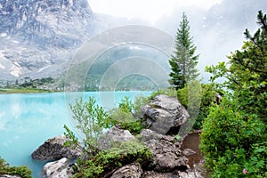 Forest and turquoise lake in the Dolomites apls, Italy.