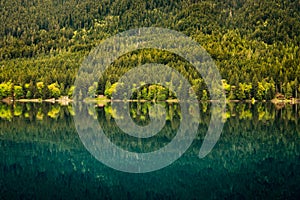 Forest and vacation homes reflected in Lake Crescent, Washington