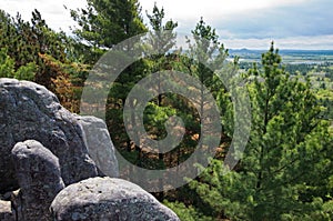 Forest Valley Overlook at Castle Mound