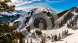 Forest and Valley of Taos Ski Valley during a gorgeous winter morning