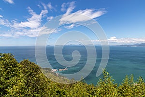 Foresta vegetazione un Oceano 