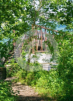 A Forest View of an Appalachian Trail Footbridge