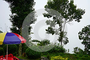 Forest View Point of Sikkim Offbeat Place Lungchok