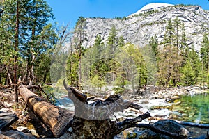 Forest view of snowy mountains and a fallen tree near Mirror lake, Yosemite national park