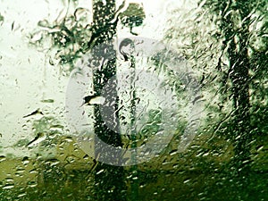 Forest view trough wet window