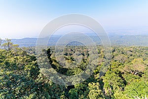 Forest from viewpoint in Phu Hin Rong Kla National Park