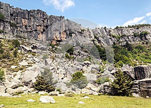 Forest of Vinuesa photo