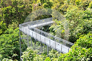 Forest Walk of Telok Blangah Hill Park rainforest