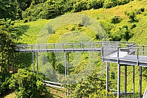 Forest Walk of Telok Blangah Hill Park rainforest