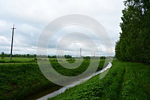 Forest, water channel, stream. Dam. The branches of deciduous trees bent over the forest road. Water. Green grass. Cloudy