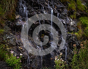 Forest water stream running over black rocks. Flowing creek. Water stream running over rock in mini waterfall cascades