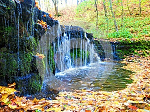 A forest waterfall