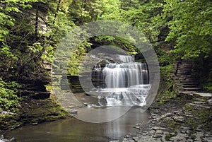 Forest Waterfall