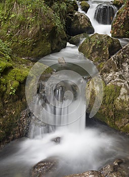 Forest Waterfall