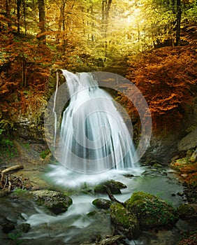 Forest waterfall