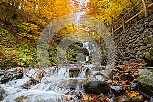 Forest waterfall in Carpathian mountains at autumn