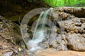 forest waterfall on a cloudy summer day