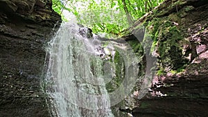 Forest waterfall falling on rocky cliff