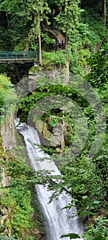 forest waterfall natura