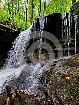 Forest Waterfall nature art Scenic abstract