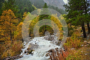 Forest waterfall on the Terskol River in autumn