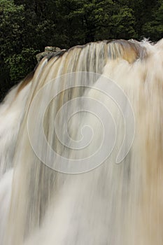 Forest Waterfall vertical silky Landscape Nature Snobs Creek Victoria Australia photo