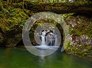 Forest Waterfall, Washington State