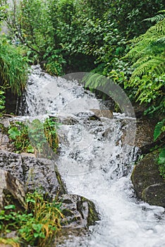 Forest waterfall on the whole frame