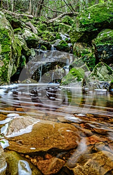 Forest waterways flowing through the pools