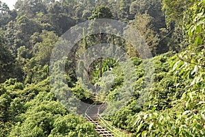 Forest on the way to Yana Caves - Karnataka tourism - India adventure trip - hindu mythology photo