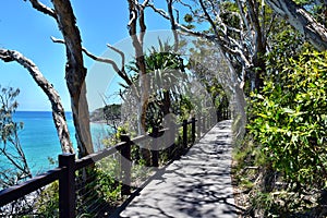 Forest way trail with an amazing ocean scenery at Noosa National Park photo